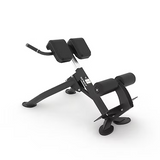 Spirit SP 4220 Back Extension