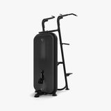 Vision Fitness Chin / Dip Assist